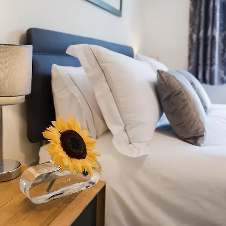 Dom wakacyjny College Court *